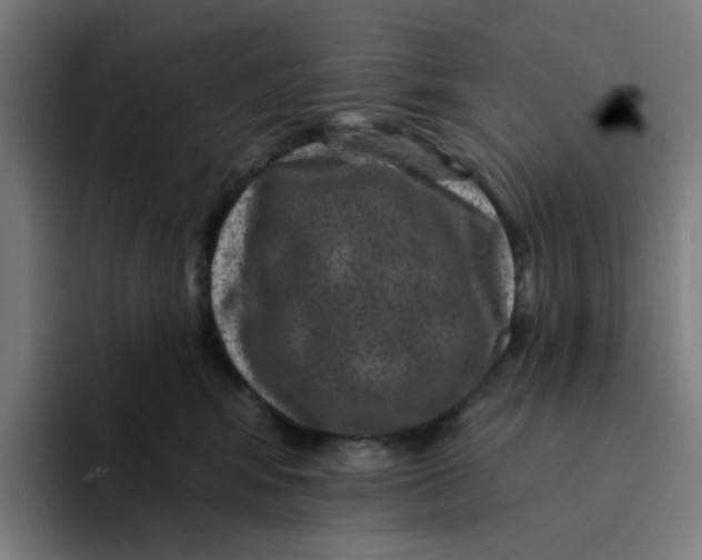 X0000094170424200711161712