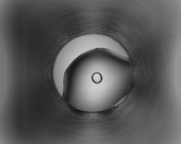 X0000094170428200711161711