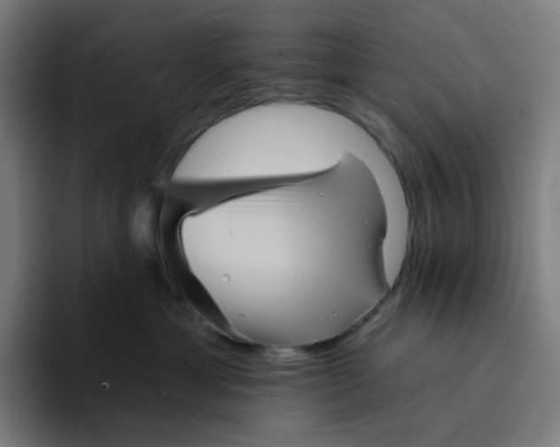 X0000094170429200711161711