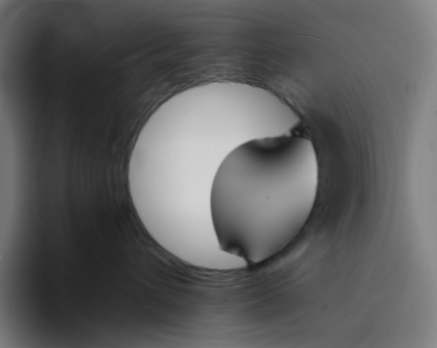 X0000094170432200711161711