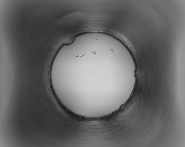 X0000094170433200711161711