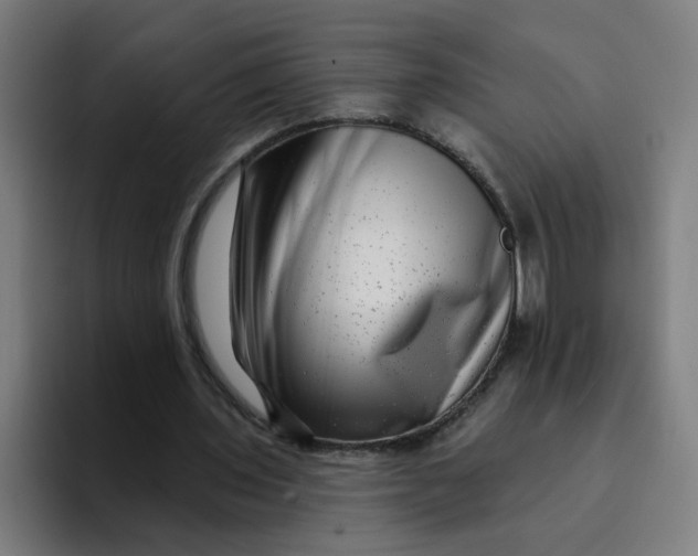 X0000094170435200711161711