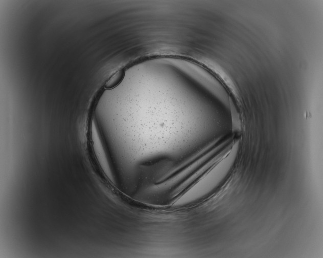 X0000094170437200711161711