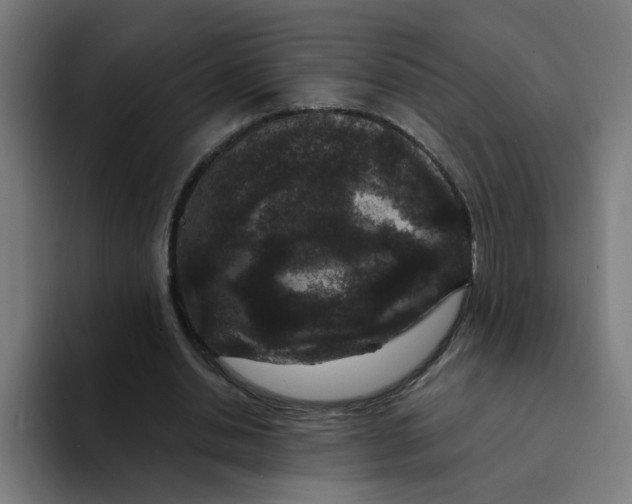 X0000094170438200711161711