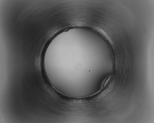 X0000094170439200711161711