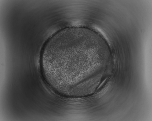 X0000094170443200711161711