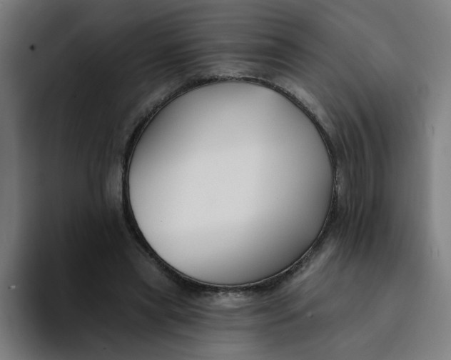 X0000094170445200711161711