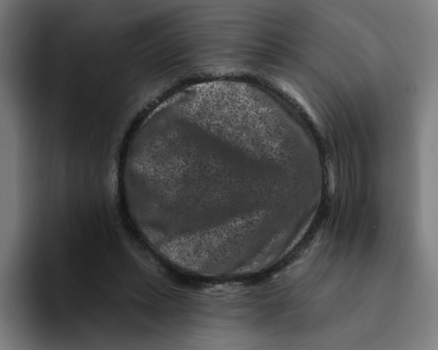 X0000094170447200711161711