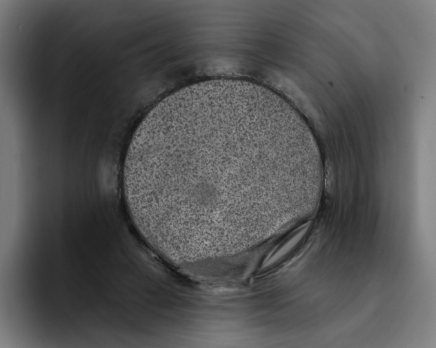 X0000094170449200711161711