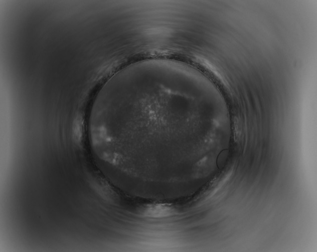 X0000094170451200711161711