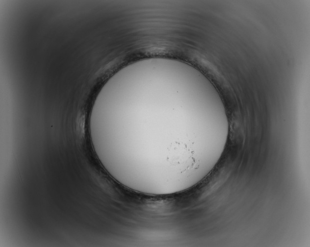 X0000094170454200711161711