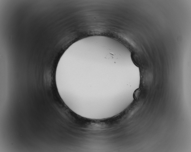 X0000094170455200711161711