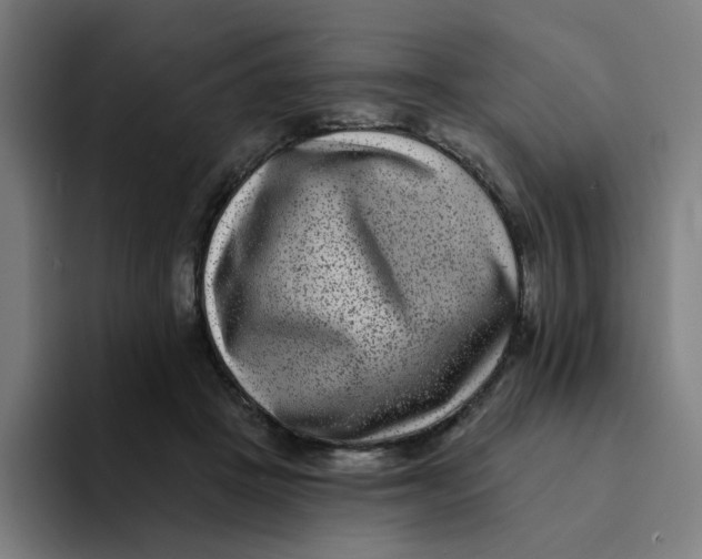 X0000094170457200711161711