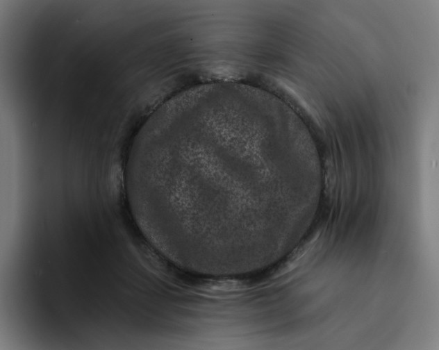 X0000094170459200711161711