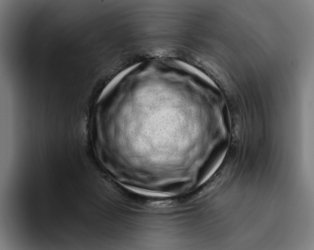 X0000094170461200711161711