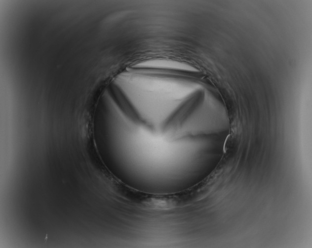 X0000094170464200711161711