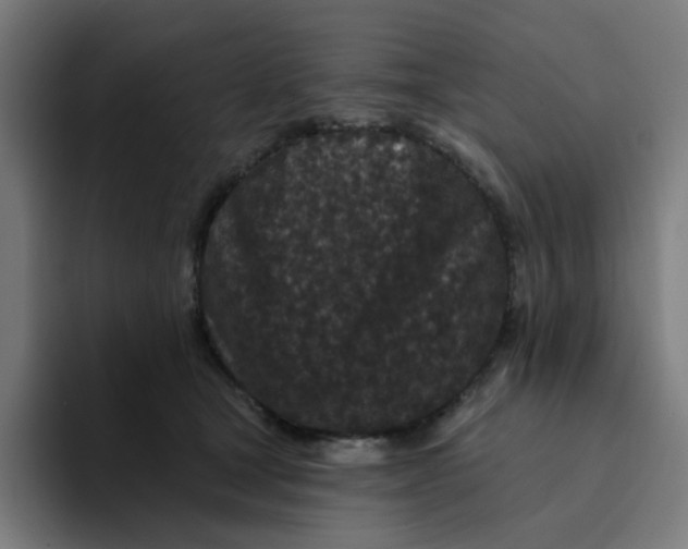 X0000094170465200711161711