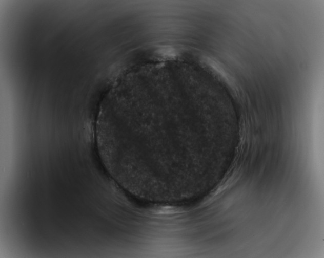 X0000094170467200711161711