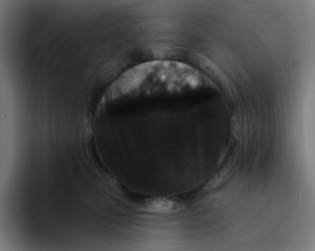 X0000094170471200711161711