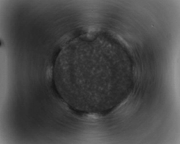 X0000094170475200711161711