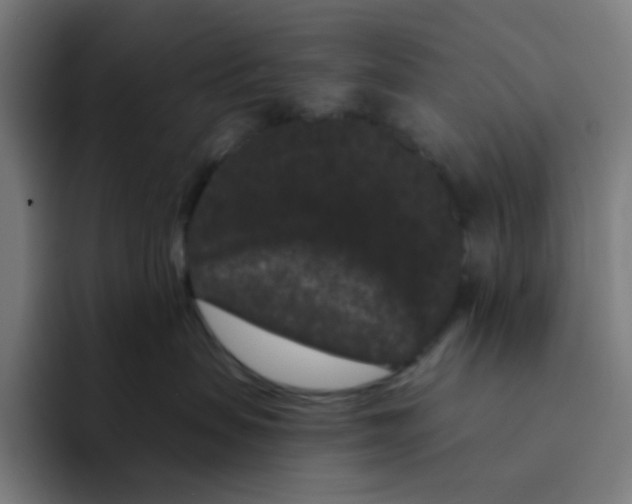 X0000094170479200711161711