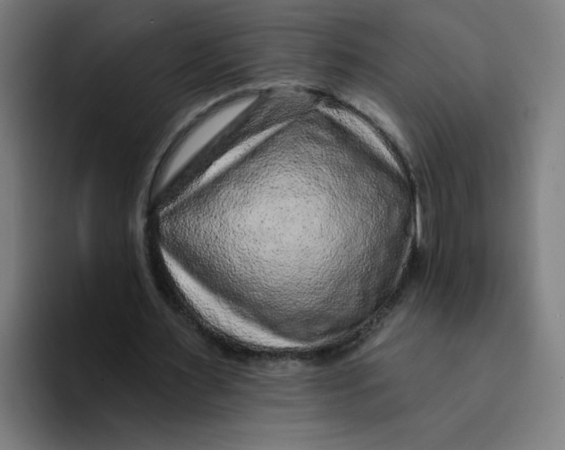 X0000094170483200711161711