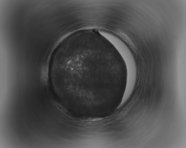 X0000094170484200711161711