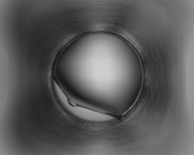 X0000094170485200711161711