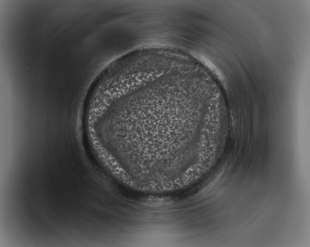 X0000094170487200711161711