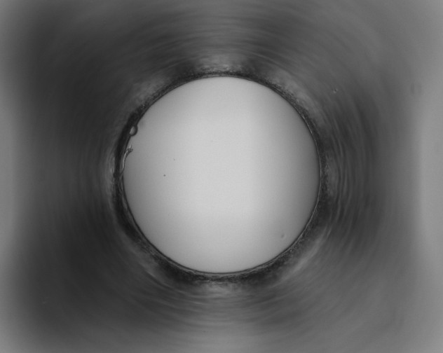 X0000094170490200711161711