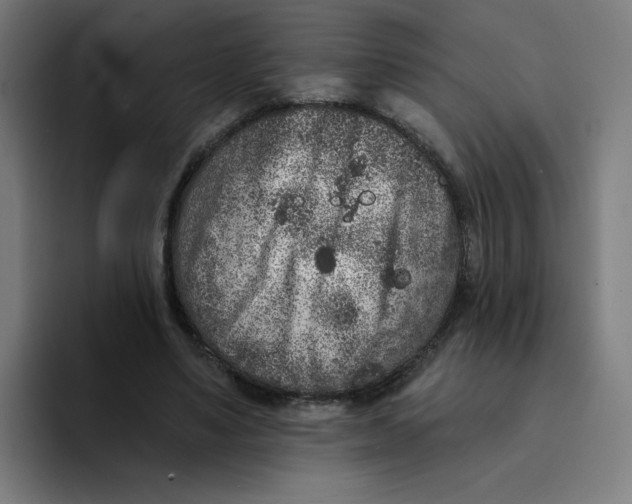 X0000094170491200711161711