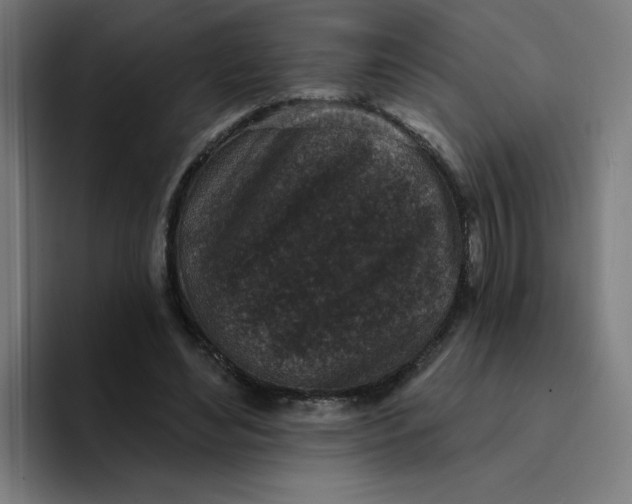 X0000094170492200711161711