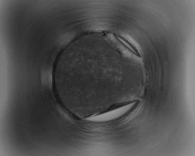 X0000094170493200711161711