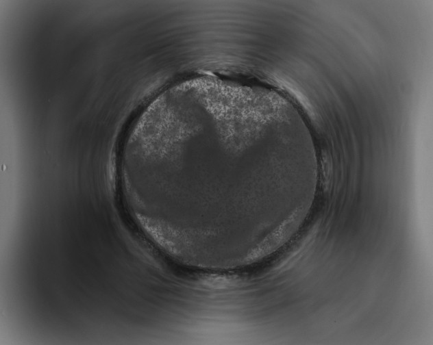 X0000094170494200711161711