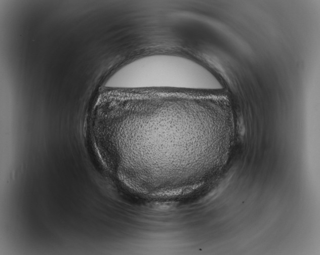 X0000094170495200711161711