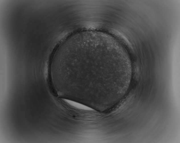 X0000094170496200711161711