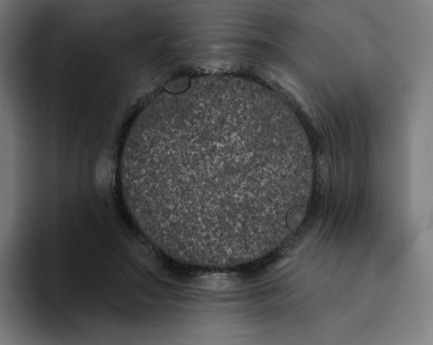 X0000094170499200711161711