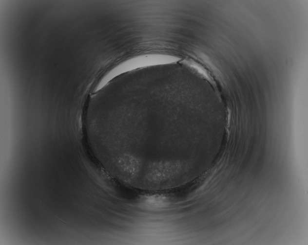 X0000094170500200711161711