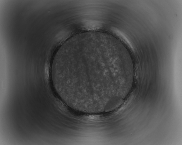 X0000094170501200711161711