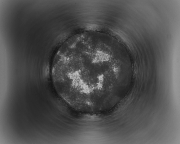 X0000094170502200711161711