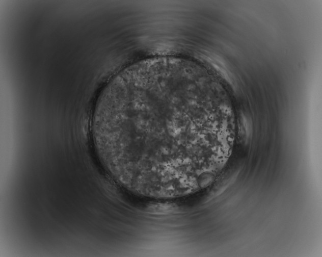 X0000094170503200711161711