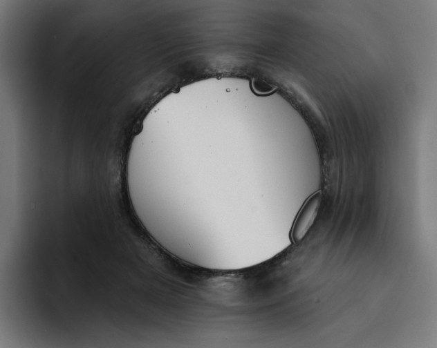 X0000094170505200711161710