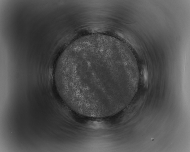 X0000094170506200711161710