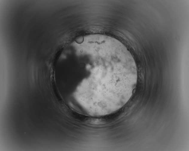 X0000094170507200711161710