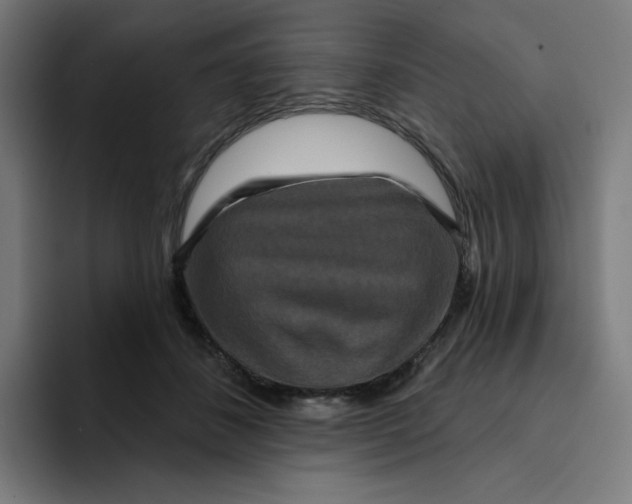 X0000094170508200711161710