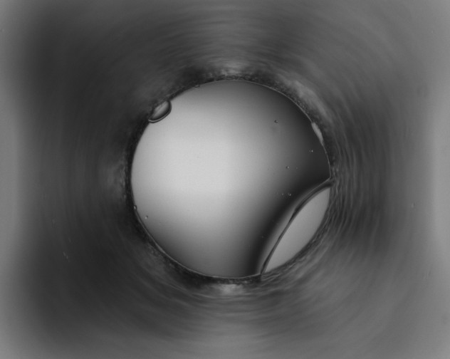 X0000094170509200711161710