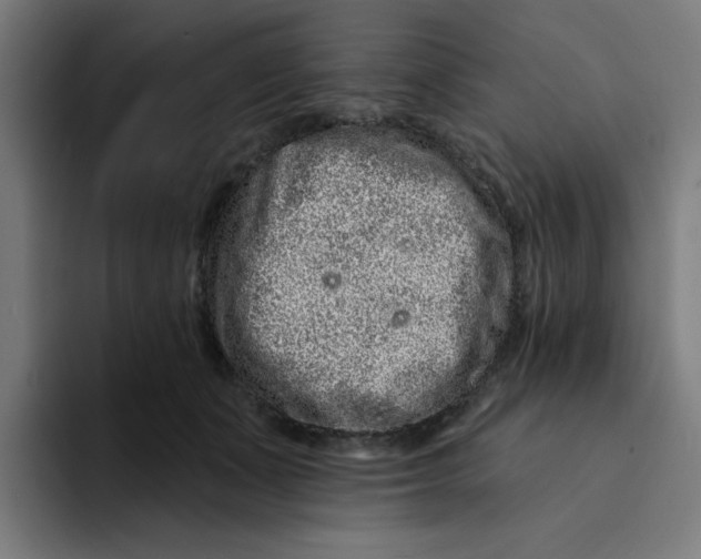 X0000094170511200711161710