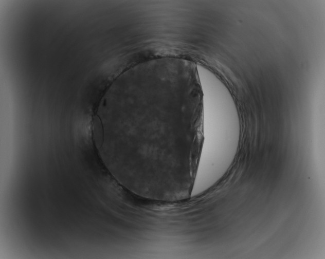 X0000094170513200711161710