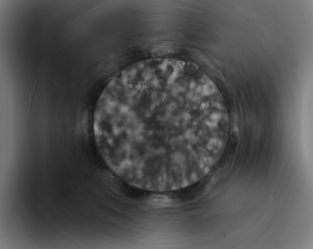 X0000094170519200711161710