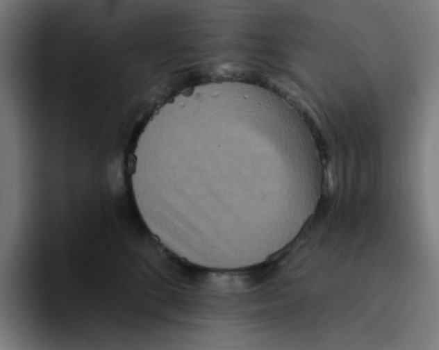 X0000094170520200711161710